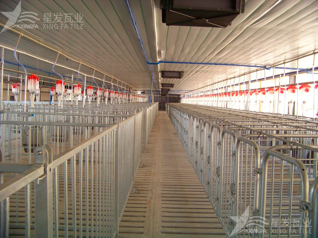 炎炎夏日即將來臨，為什么養(yǎng)殖場越來越多地選擇PVC瓦？