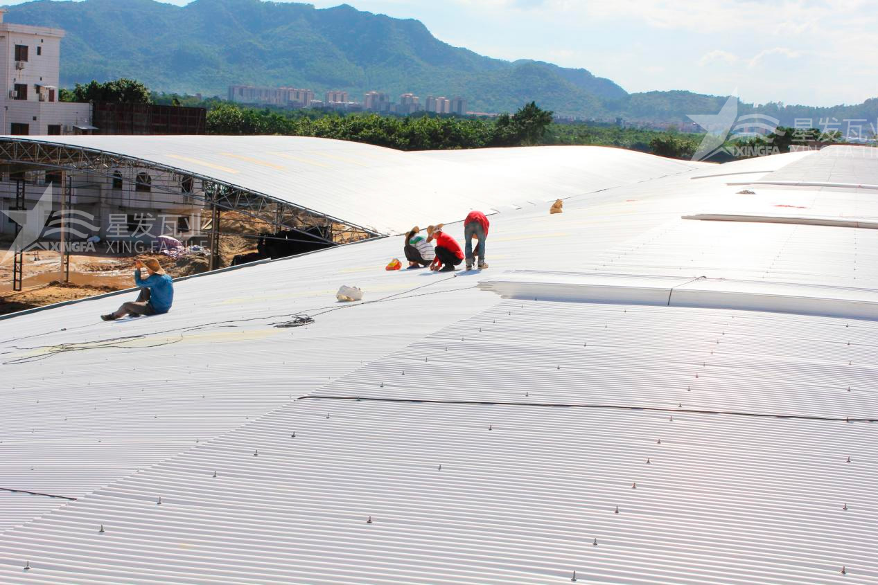 樹(shù)脂瓦漏水？不要慌，這些方法能夠快速解決問(wèn)題！