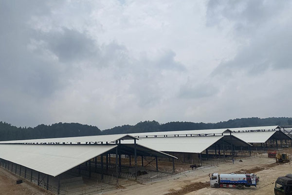 延長PVC瓦使用壽命的三大關(guān)鍵因素，千萬別忽視！